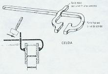 celdas